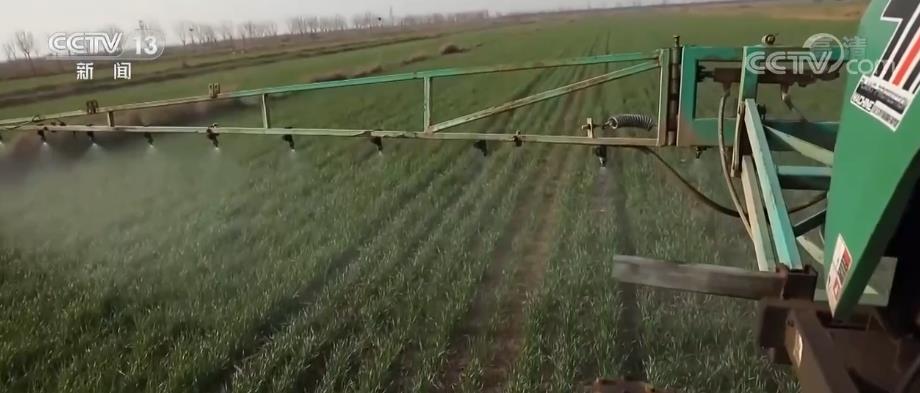 保障冬小麦安全越冬 针对性技术措施提升田管质量