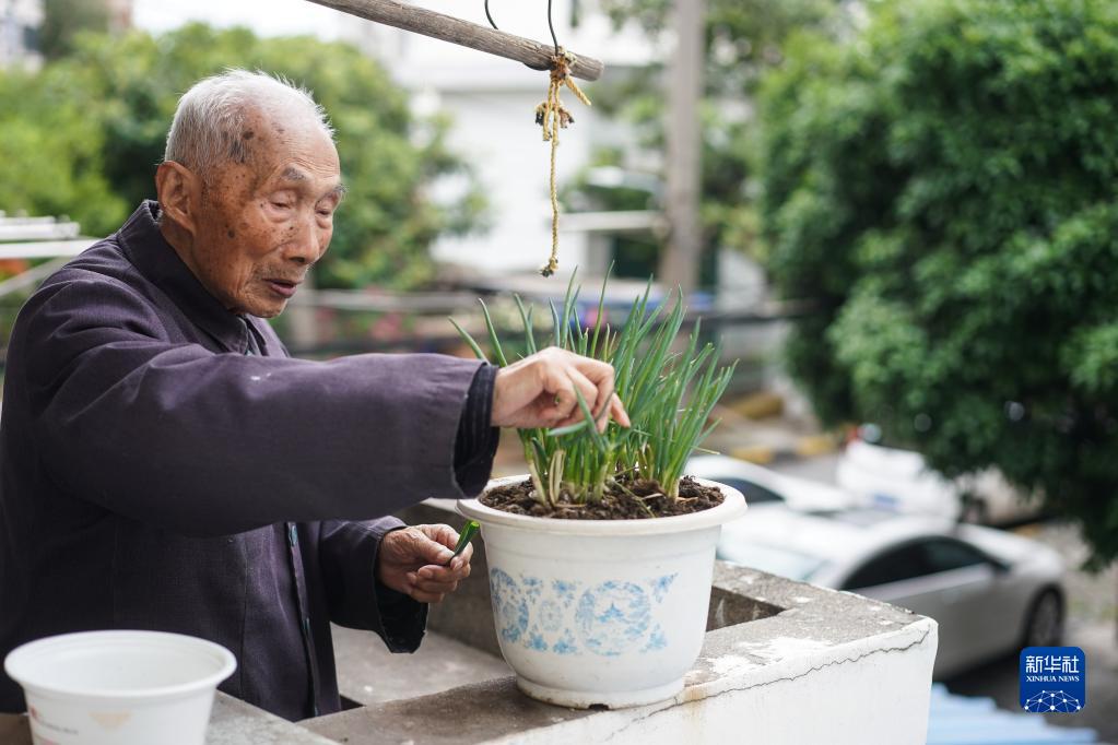 2022南京大屠杀幸存者影像册