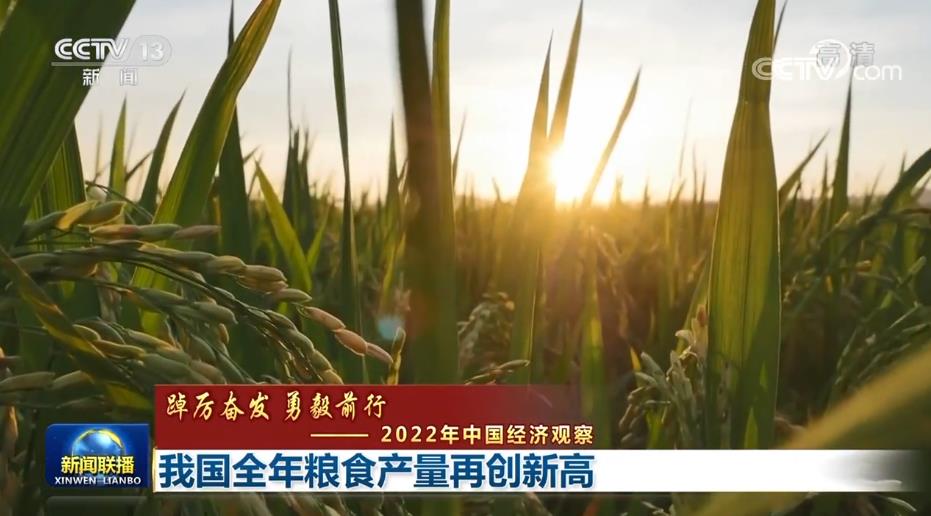 【踔厉奋发 勇毅前行——2022年中国经济观察】我国全年粮食产量再创新高