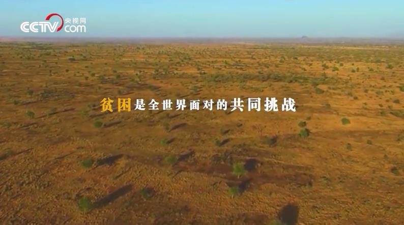 跟着习主席看世界丨从福建“种”到全世界的中国菌草