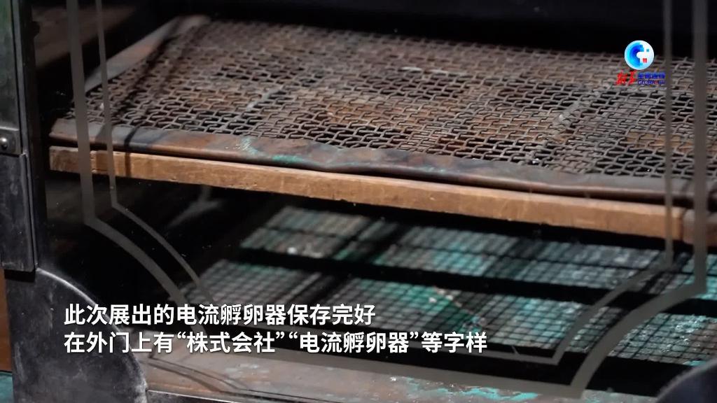 侵华日军731部队新物证 串联细菌实验与生物战证据链条
