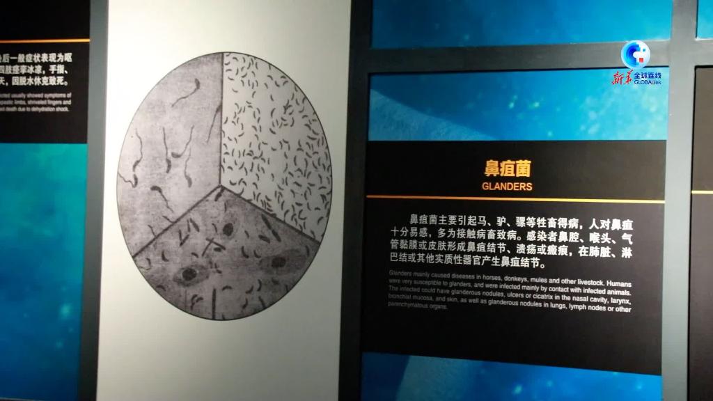 侵华日军731部队新物证 串联细菌实验与生物战证据链条