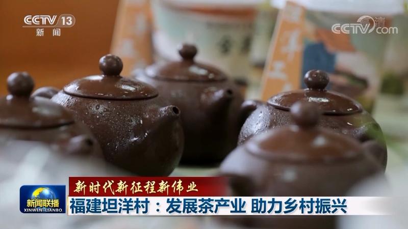 【新时代新征程新伟业】福建坦洋村：发展茶产业 助力乡村振兴
