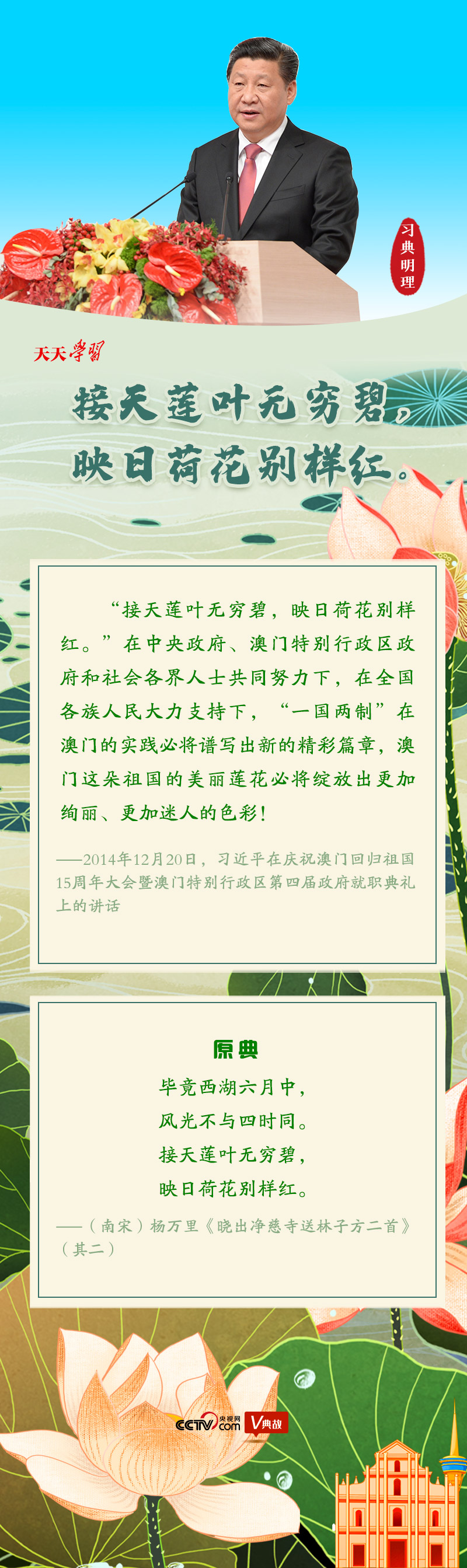 习典明理｜接天莲叶无穷碧 映日荷花别样红