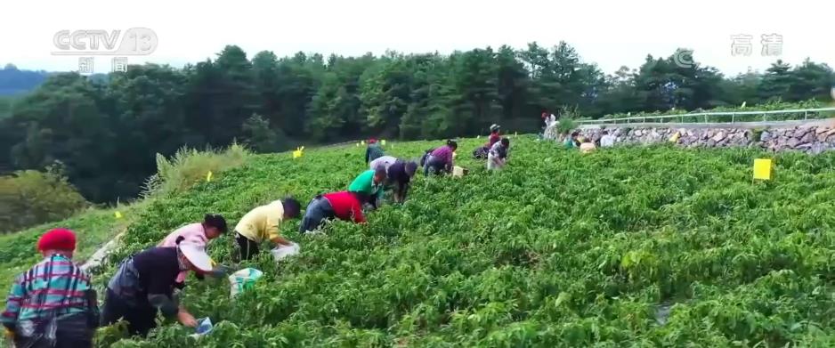提升县域就业承载力 为返乡创业农民工提供专业化服务