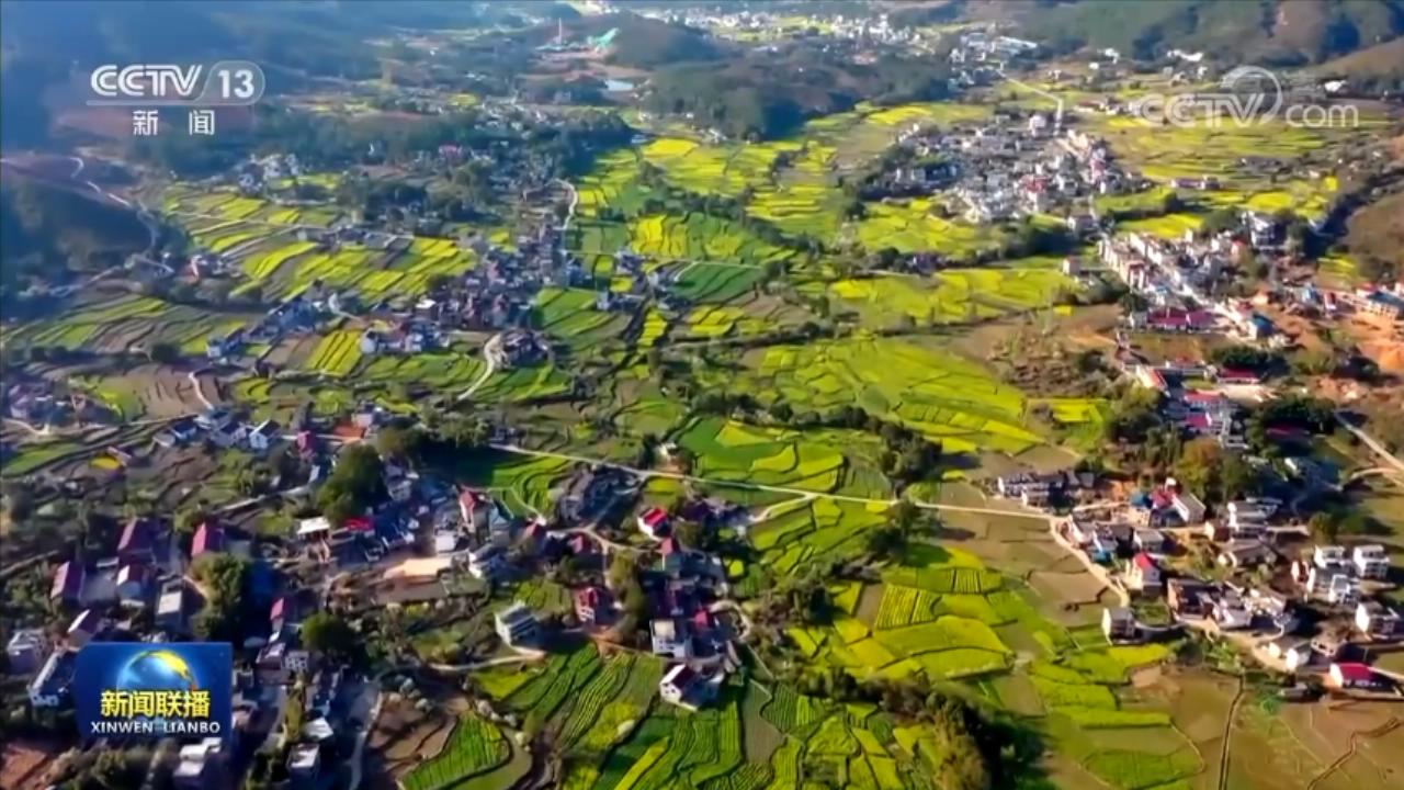 铆足干劲 为加快建设农业强国而努力奋斗——习近平总书记在中央农村工作会议上的重要讲话引起各地干部群众热烈反响