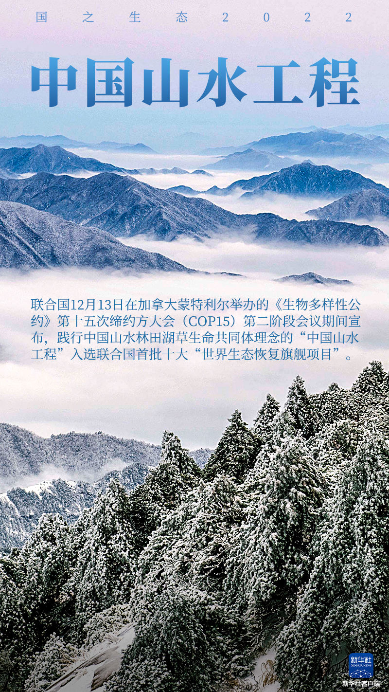 回首·2022 | 长江黄河、黑土湿地……纵览2022美丽中国新画卷