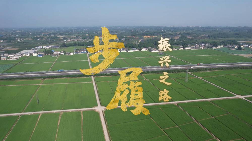 步履｜振兴之路