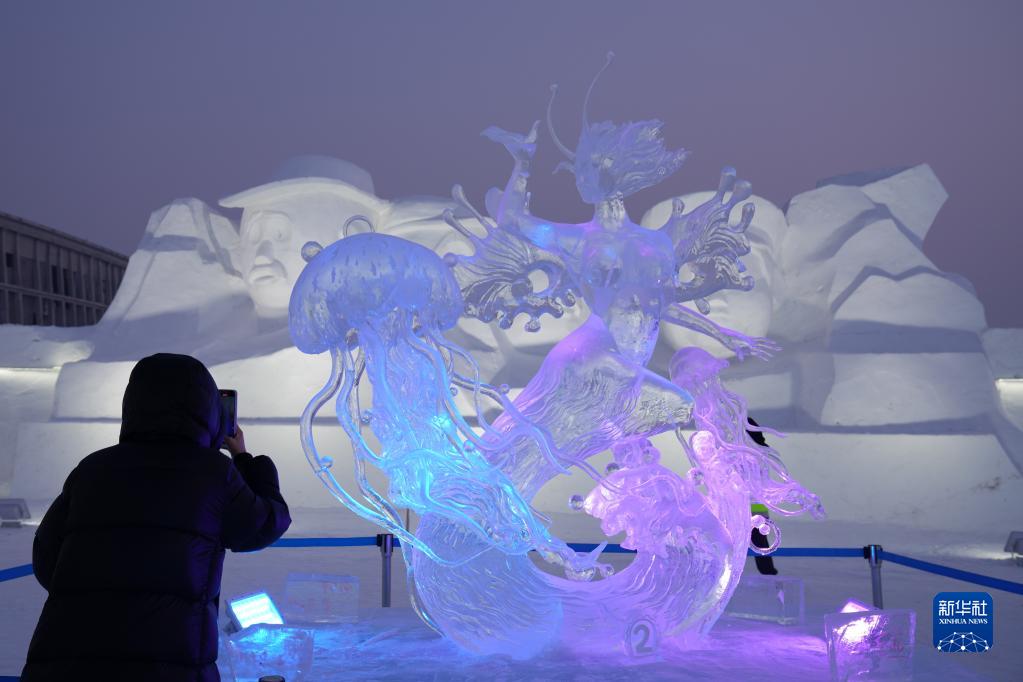哈尔滨冰雪大世界：魅力冰雕引客来