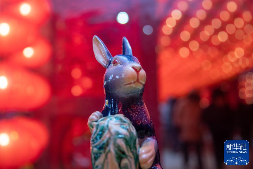 新华全媒+|镜头里的中国年：兔年拍“兔”
