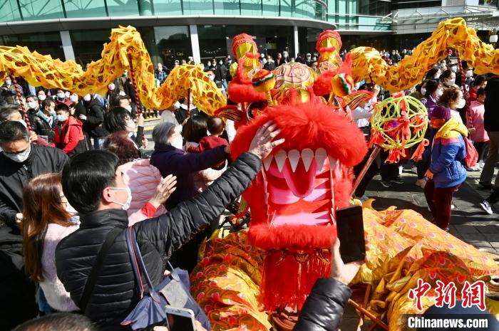 （新春见闻）香港龙狮跃动贺新春