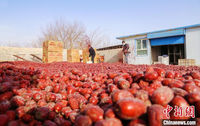 新疆红枣产业走向多元化的前世今生