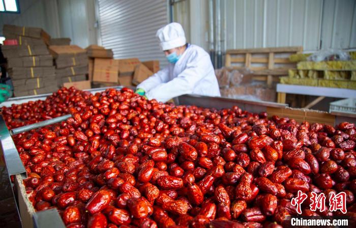 新疆红枣产业走向多元化的前世今生