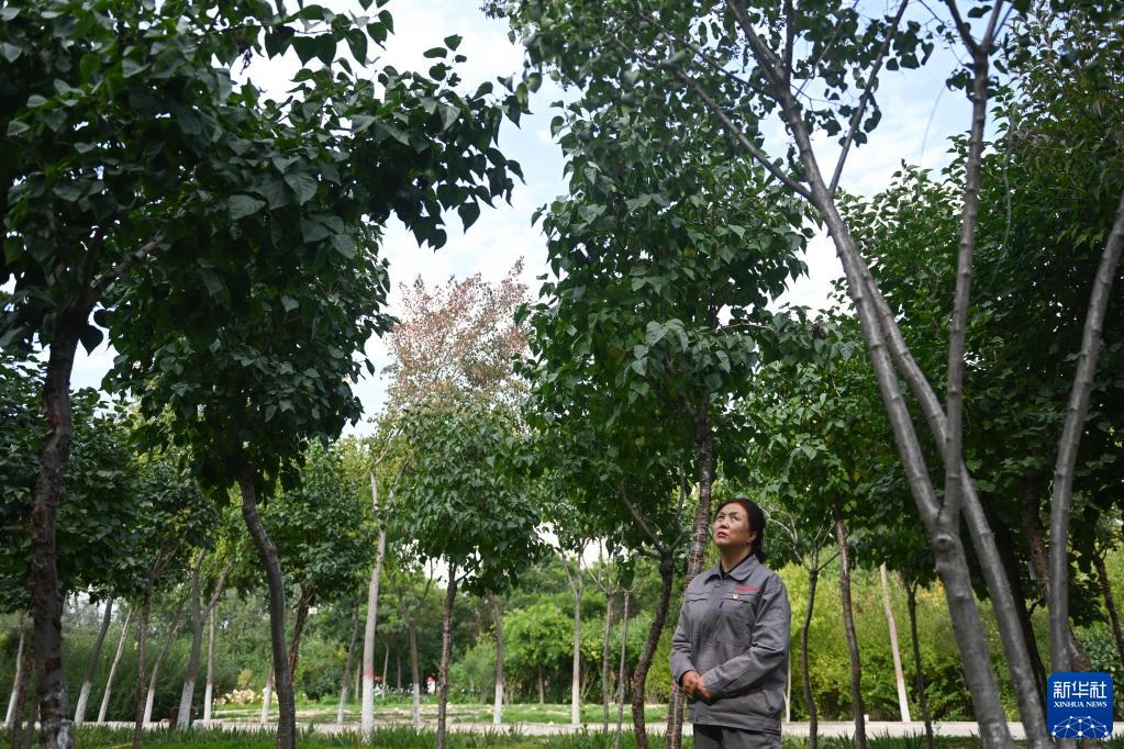 强信心·劳动者之歌丨林业专家张锦梅：在青藏高原建设“绿色长城”