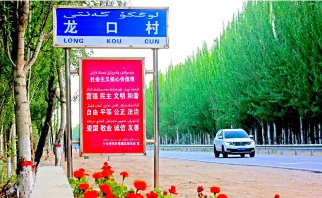 新疆柯柯牙：在戈壁荒漠上书写植绿奇迹