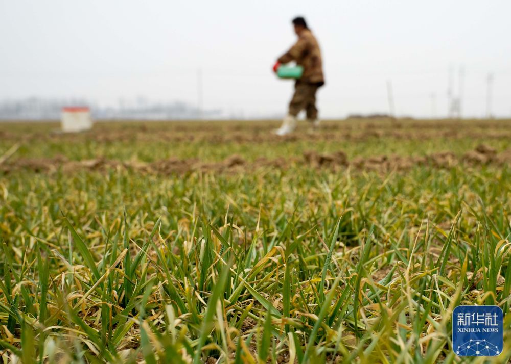 新华全媒+丨从厂区到地头——河南化肥生产运输提速备春耕