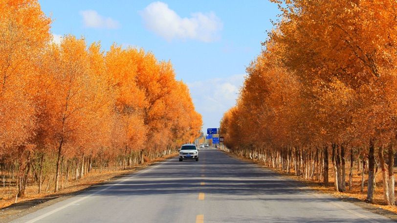 新疆5年新改建农村公路5.8万公里