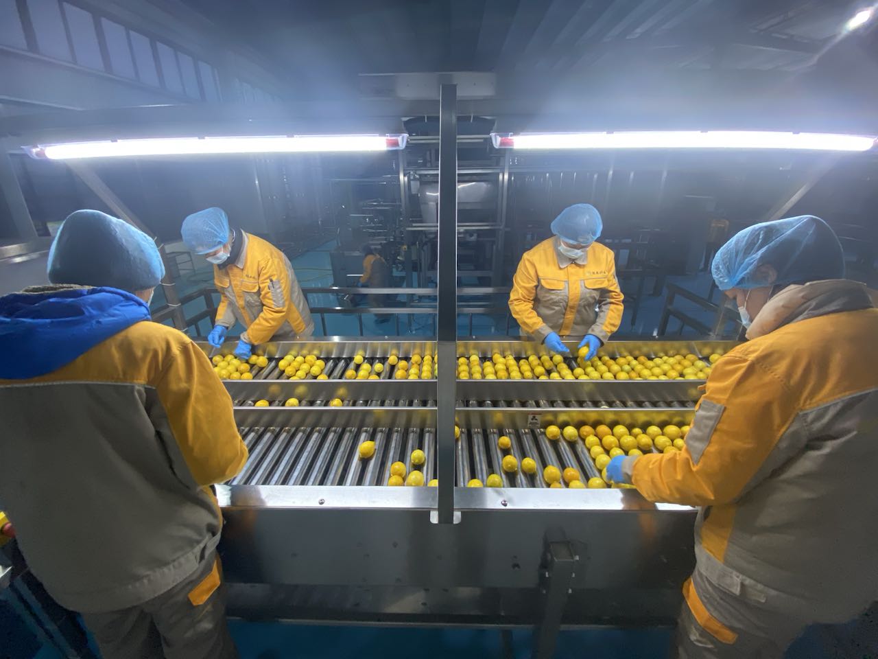【走进区域看发展】小柠檬 大产业 重庆打造农品产业链“潼南样本”