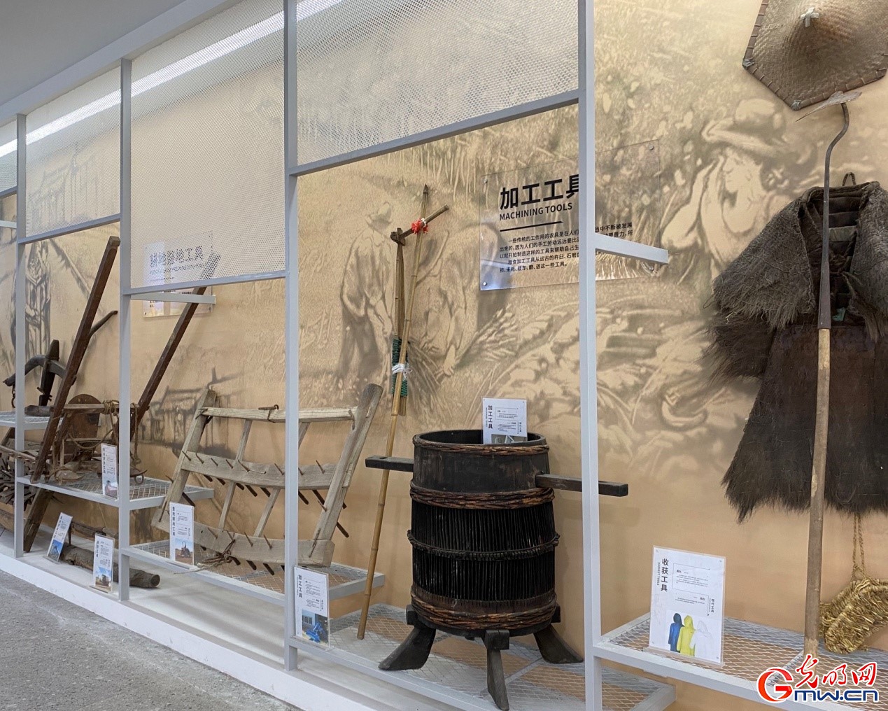 【走进区域看发展】四川德阳稻花公园：创新稻麦体验 转变农业生产模式