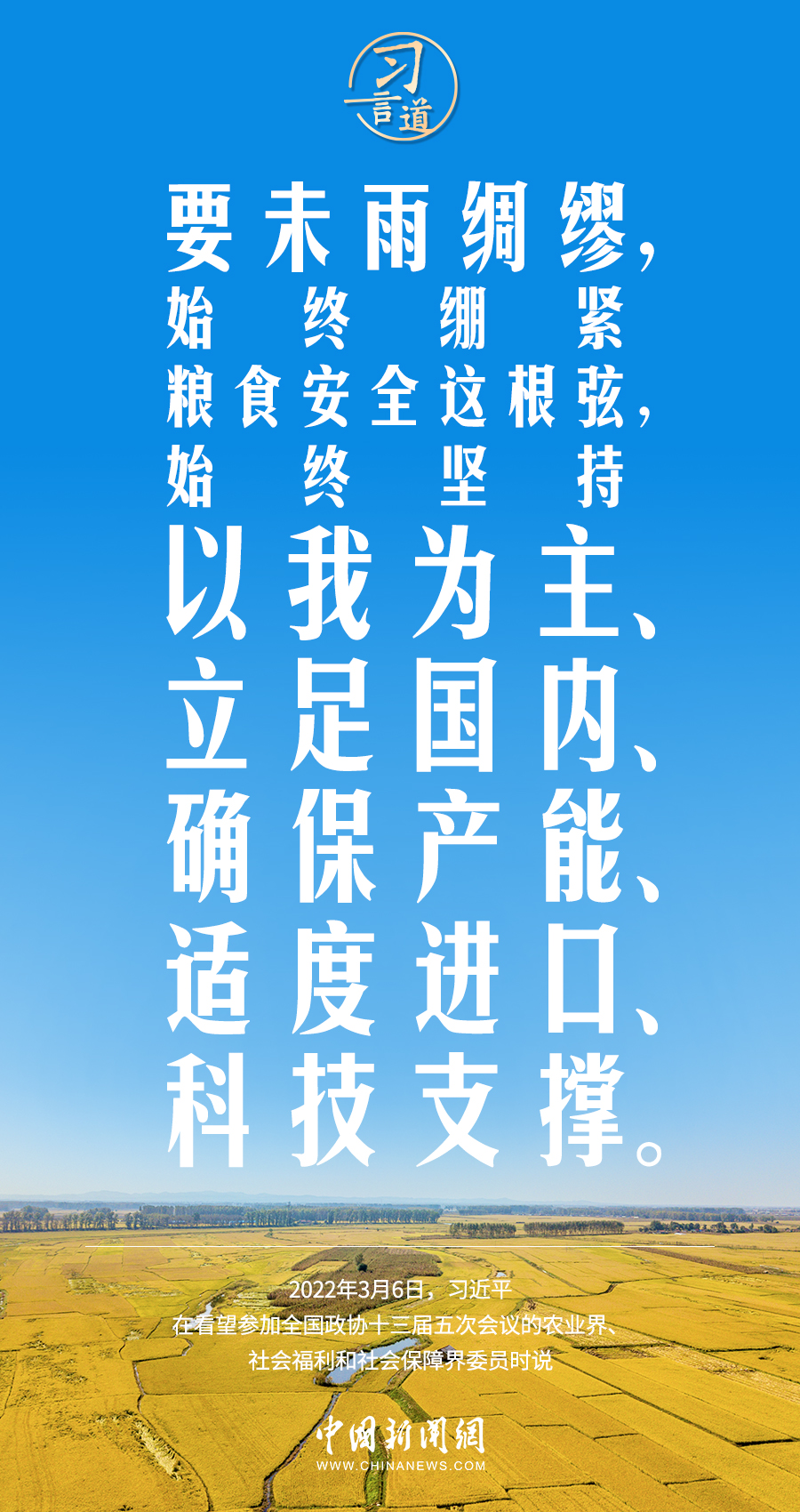 习言道｜粮食安全是“国之大者”