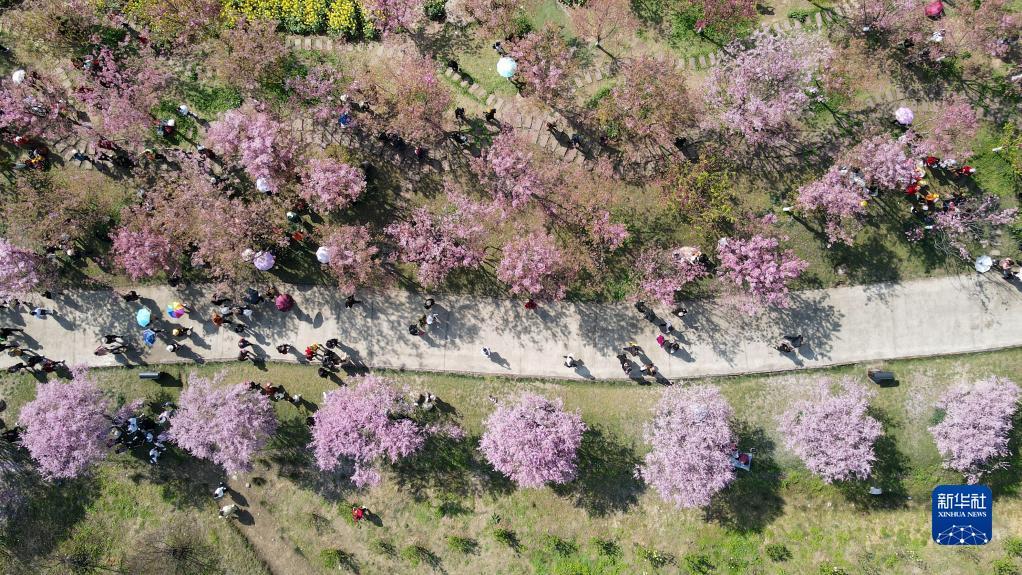 “问花村”赏花游