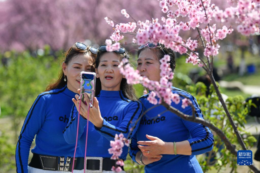“问花村”赏花游