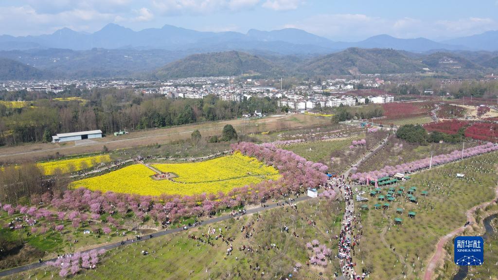 “问花村”赏花游