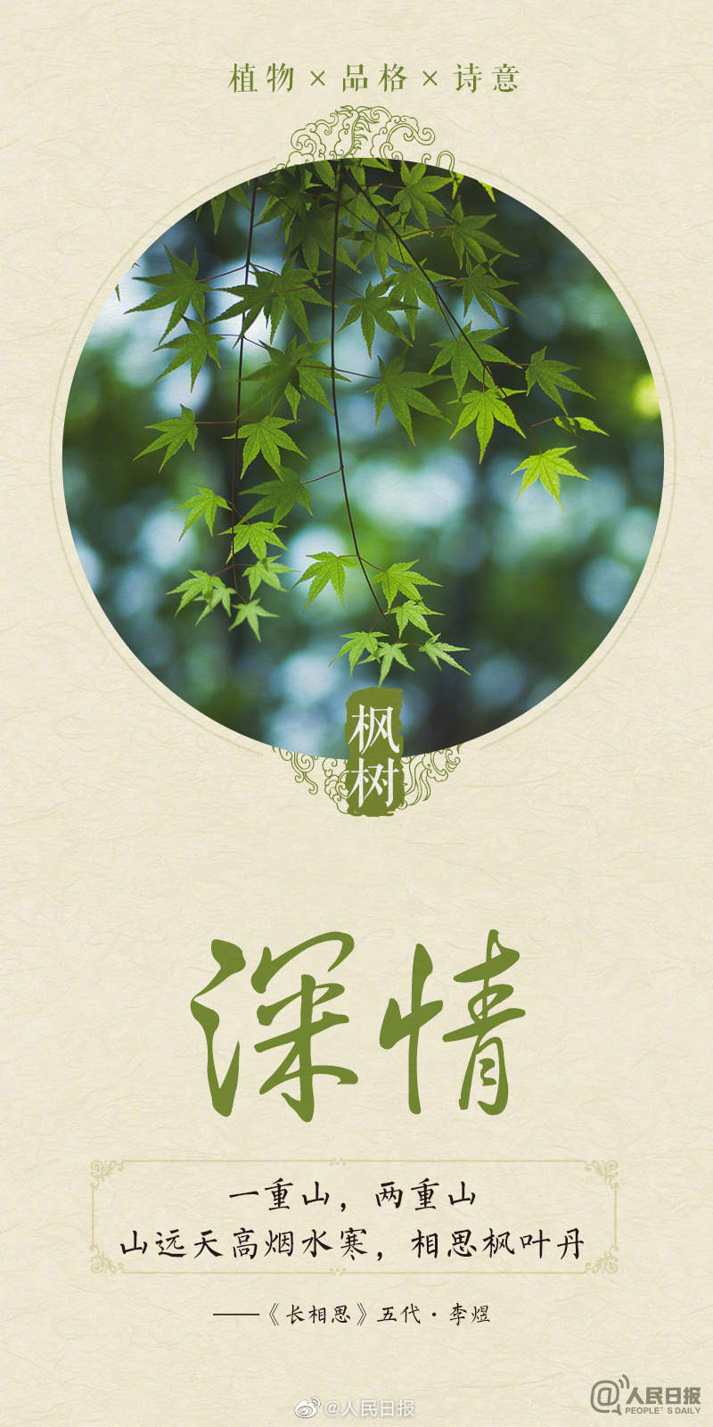 诗意满满！今天植树节，感受植物中的中国式浪漫