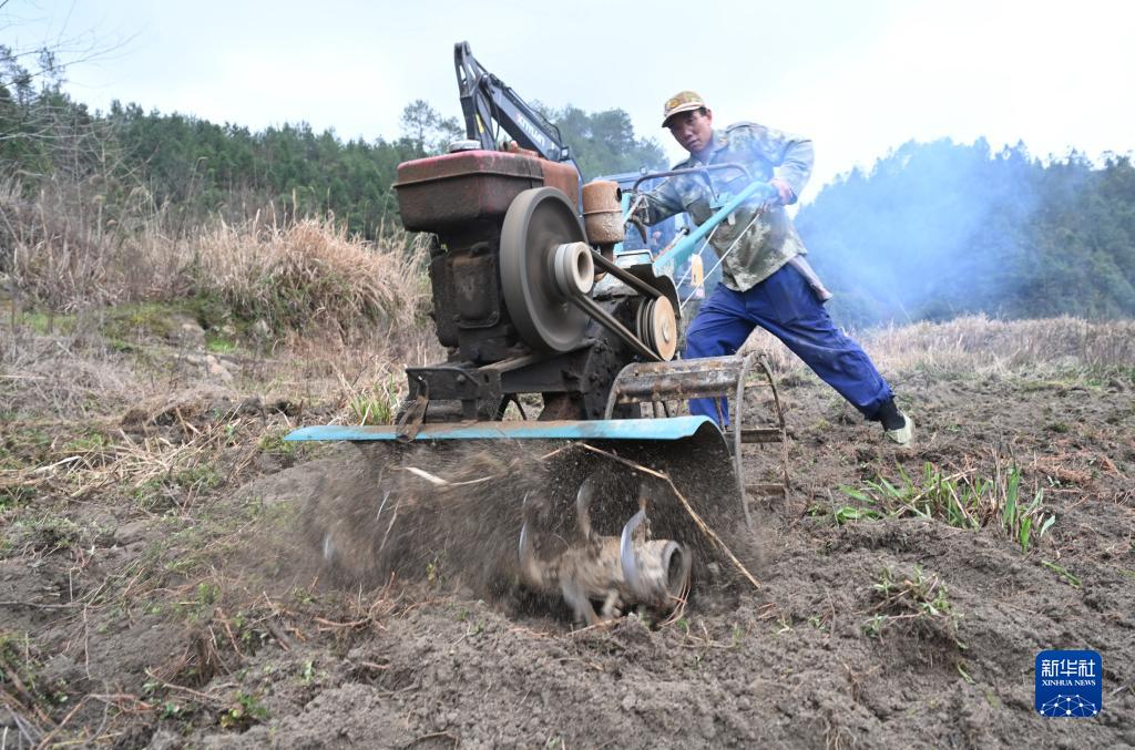 福建寨里:积极探索撂荒地治理新模式