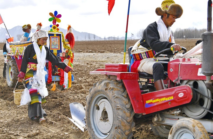 从“二牛抬杠”到“铁牛”满地——西藏农业现代化掠影