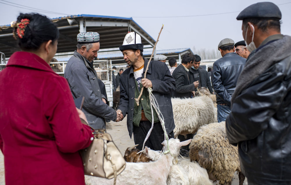 强信心·开新局|新疆莎车：牛羊巴扎里的乡村振兴新图景