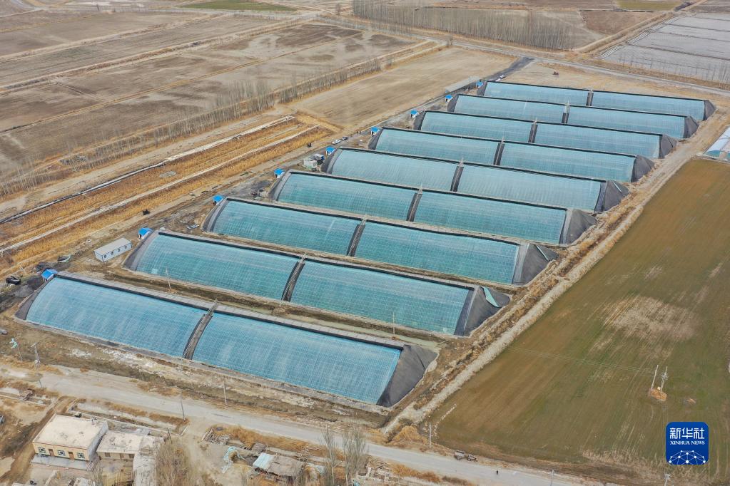 新疆博湖：设施农业为乡村振兴注入新动能