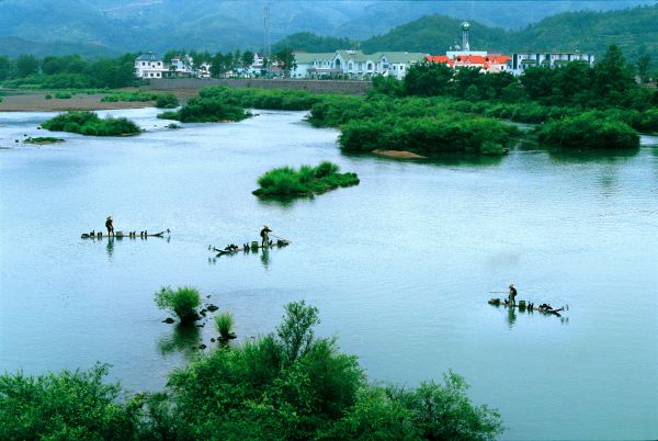 【大国基理】浙江仙居：探寻乡村旅游的“共富密码”
