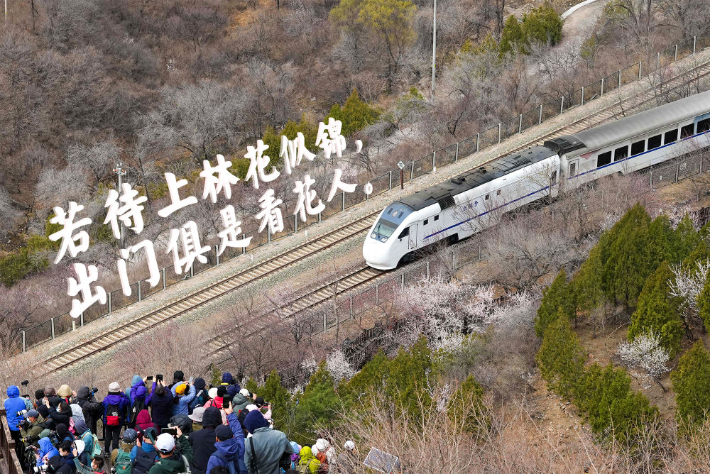 登上列车 驶入春天