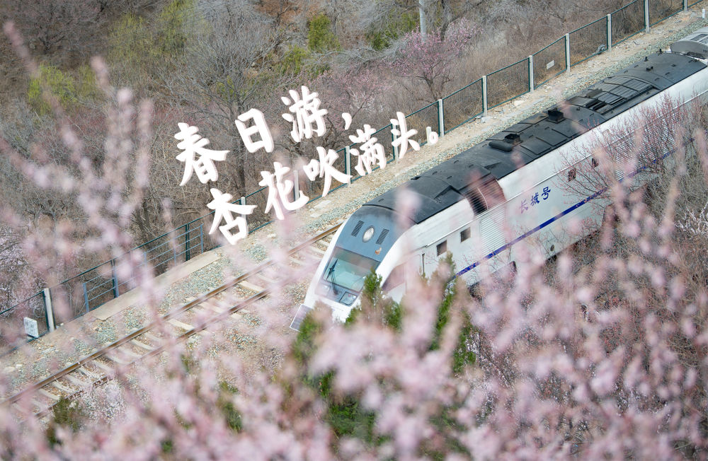 登上列车 驶入春天