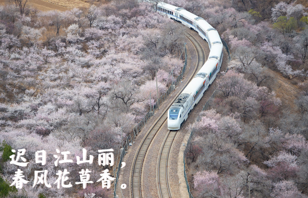 登上列车 驶入春天