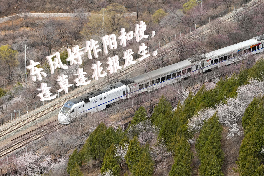 登上列车 驶入春天