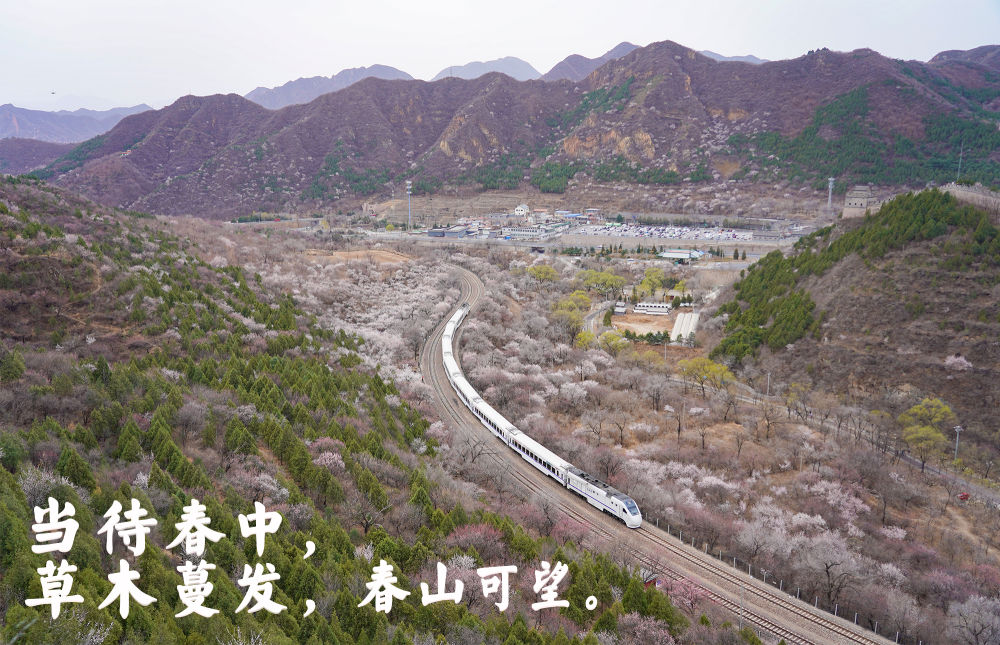 登上列车 驶入春天