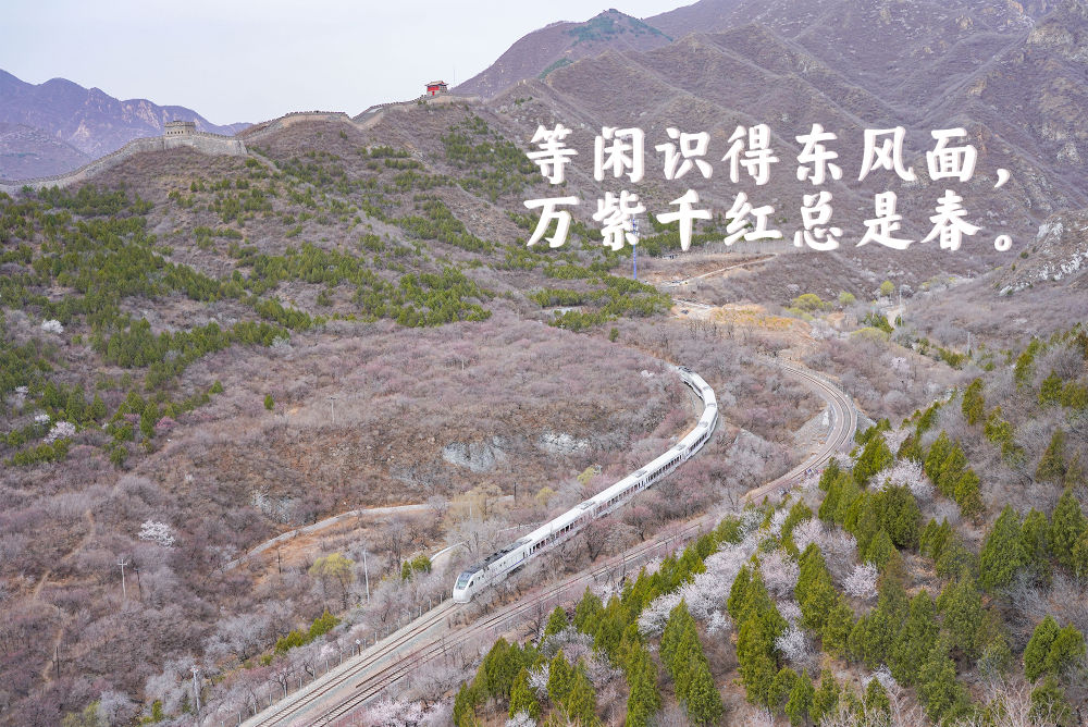 登上列车 驶入春天
