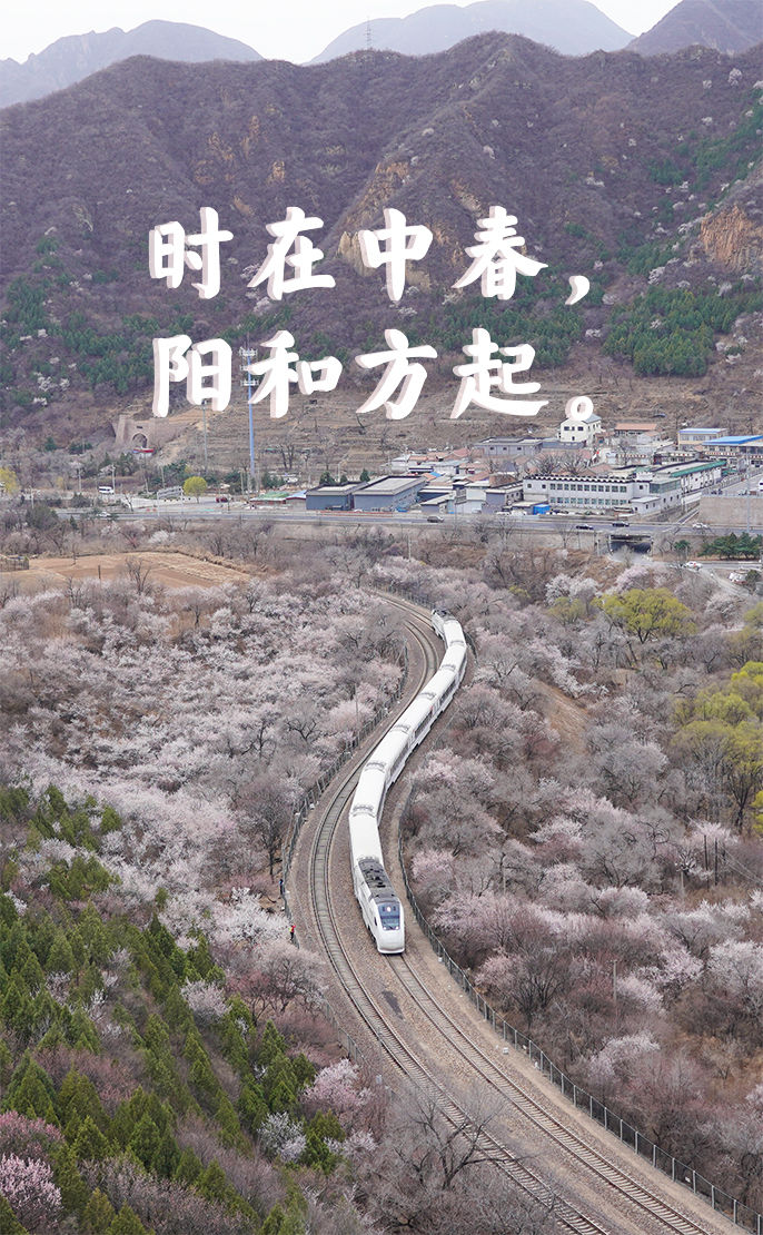 登上列车 驶入春天