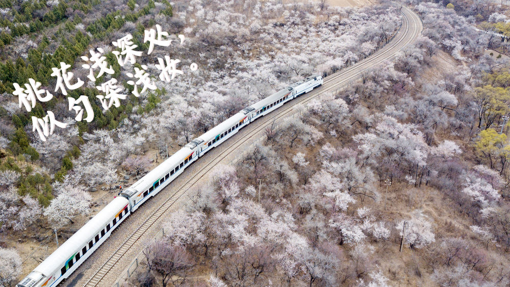 登上列车 驶入春天