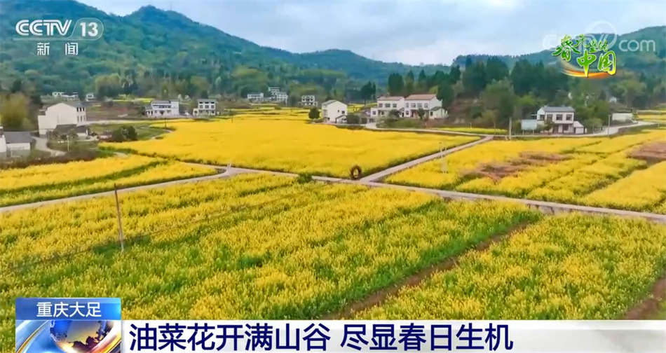春天里的中国 春意盎然 万象更新