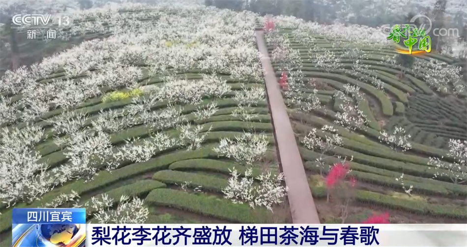 春天里的中国 春意盎然 万象更新
