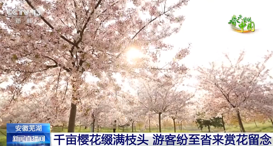 春天里的中国 春意盎然 万象更新