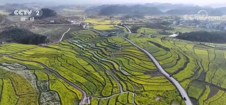 春意浓 百花俏 赏春踏青正当时