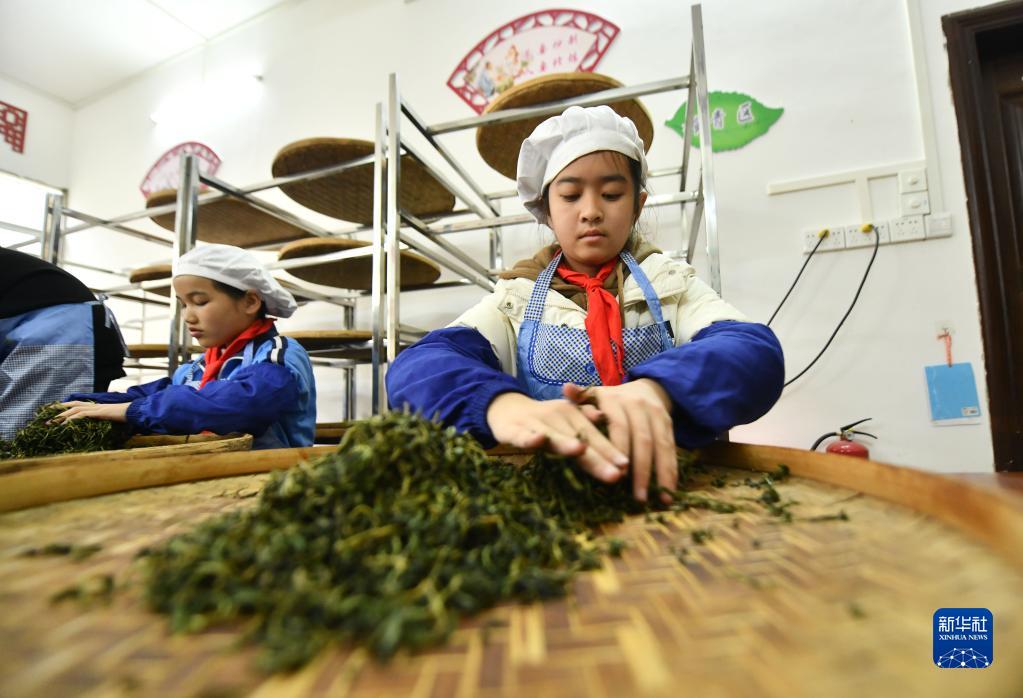 茶香校园润童心