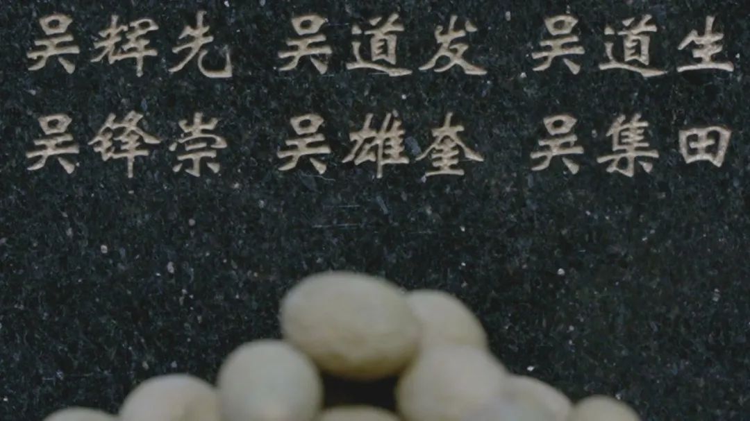 英雄之光丨橄榄树下,酿酒等你70年……