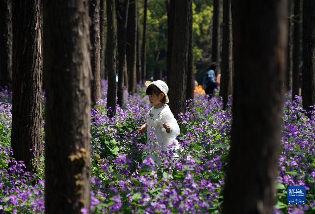 上海：赏百花 享春光