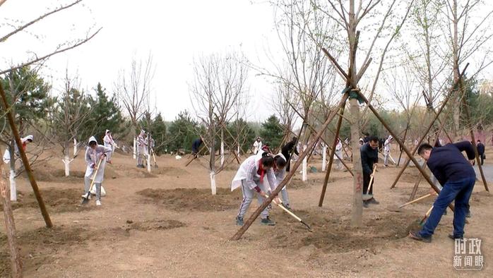 时政新闻眼丨在今年首都义务植树现场,习近平这三句话饱含深意
