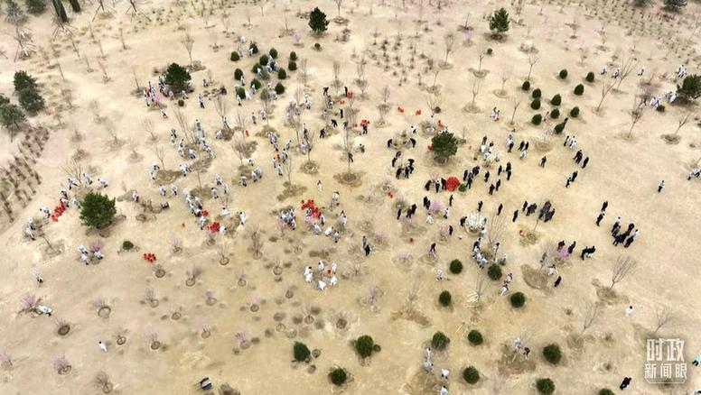 时政新闻眼丨在今年首都义务植树现场,习近平这三句话饱含深意